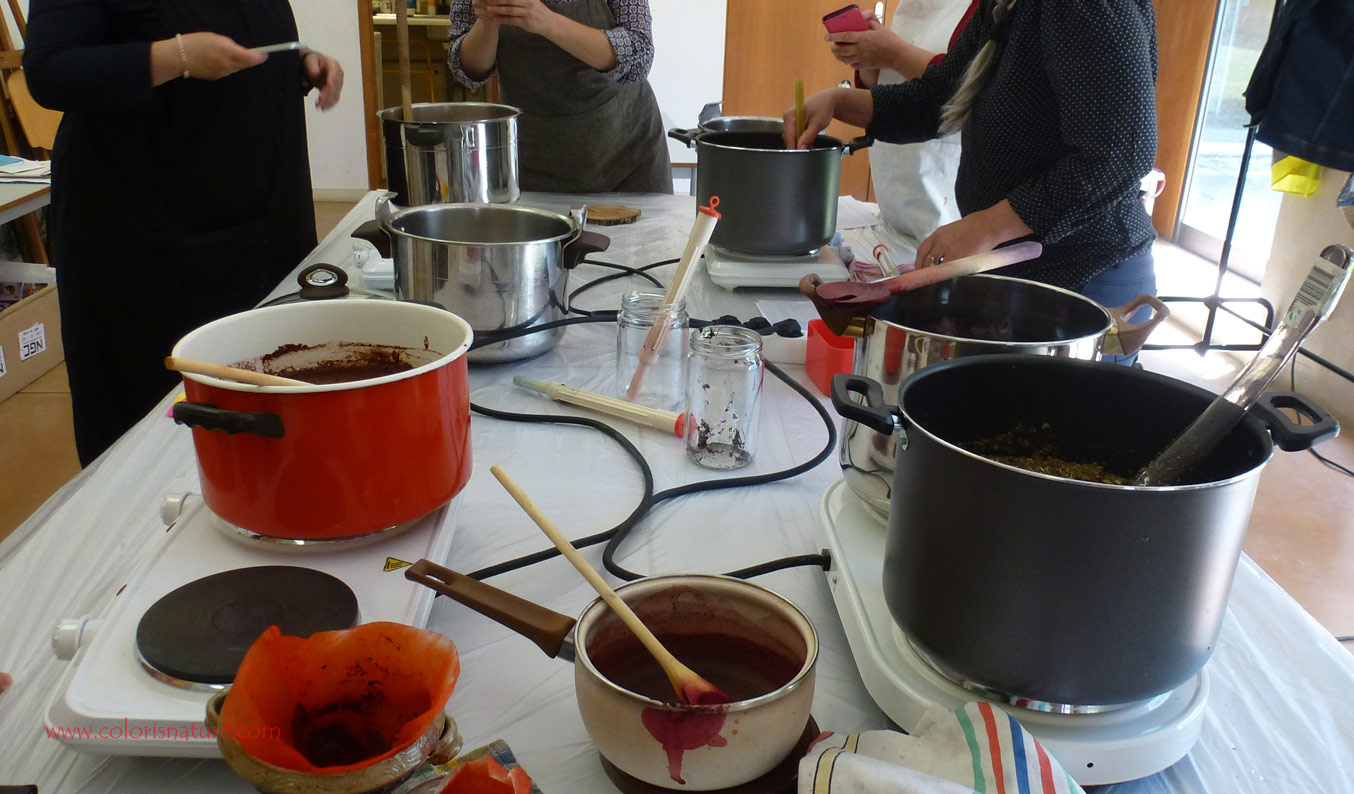 Atelier teintures végétales - la cuisson