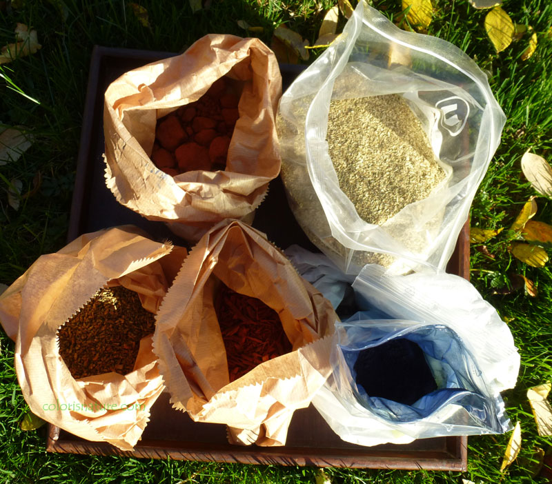 Plantes et pigments
